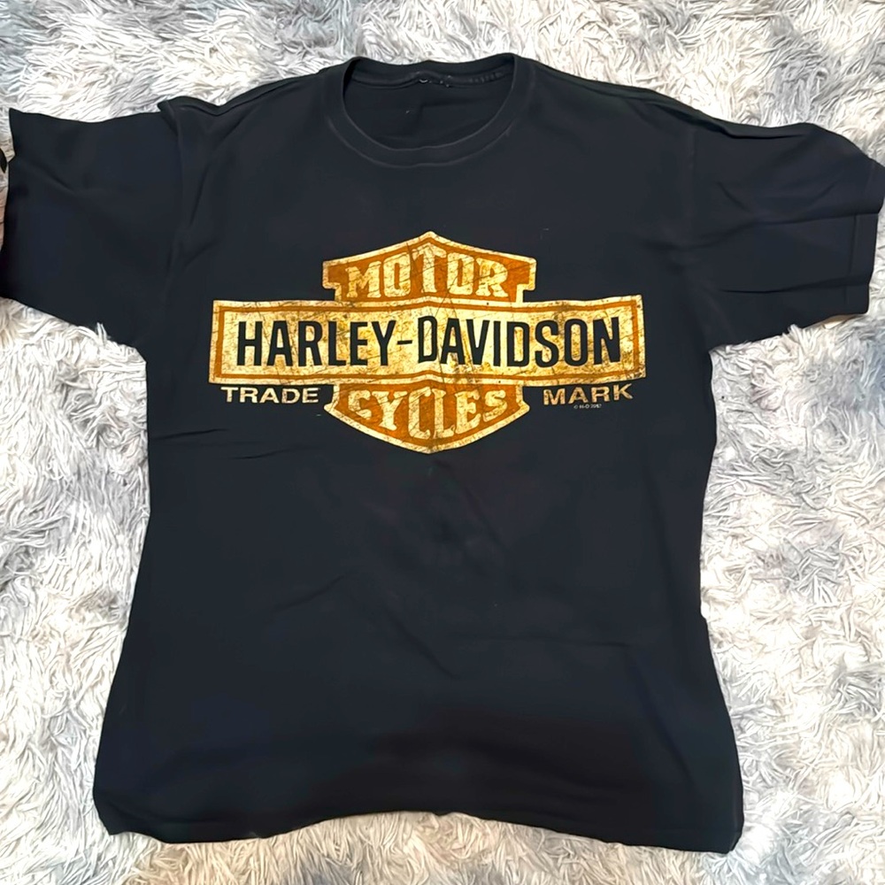This is a Harley Davidson t-shirt shit a graphic logo on the back of